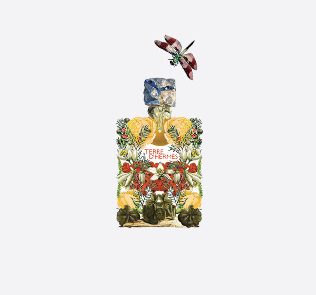Terre D'Hermes